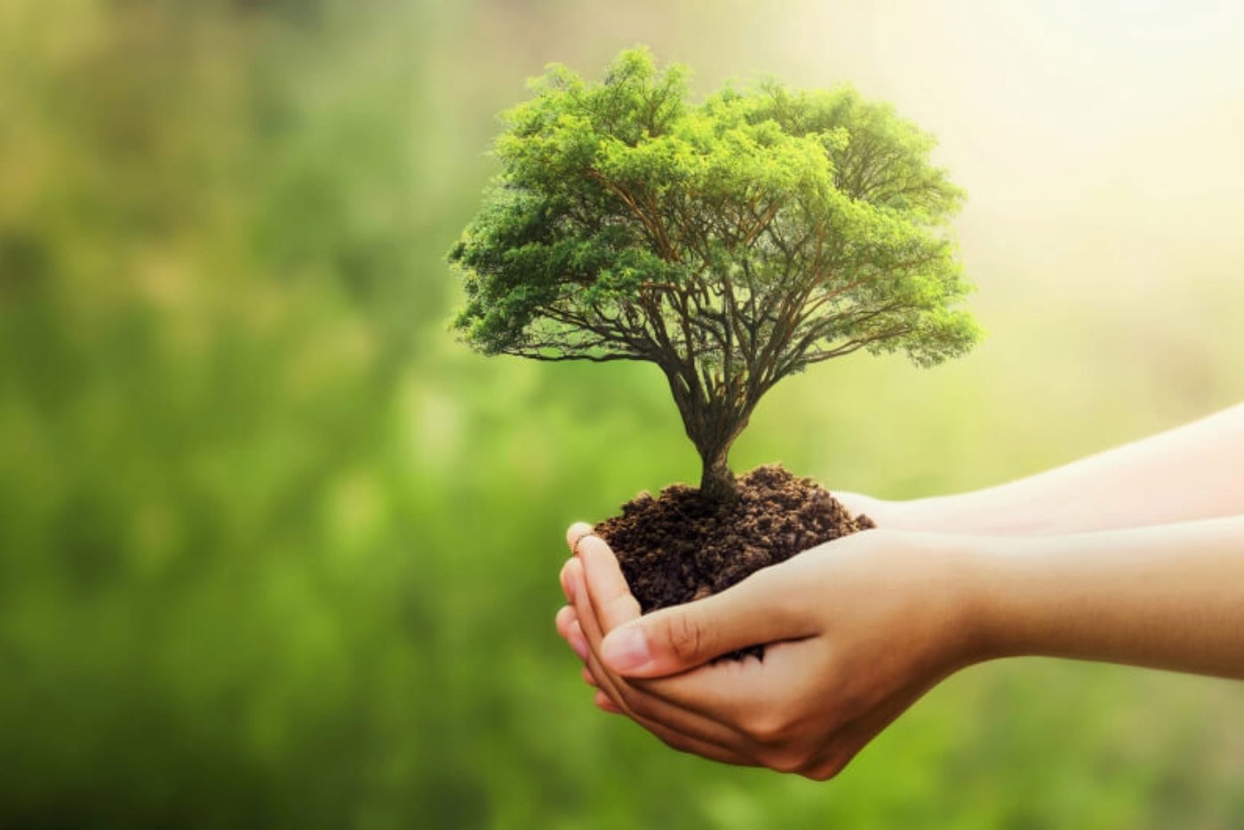 Getting back to nature on World Environment Day